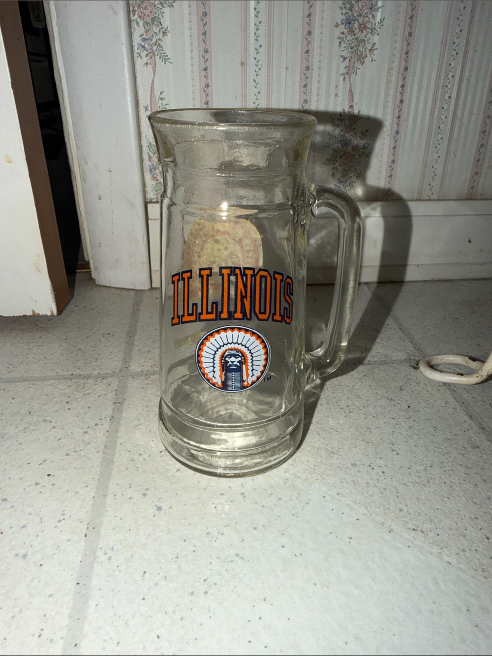 Fighting Illini Chief Illiniwek University Of Illinois Glass Beer Stein Mug
